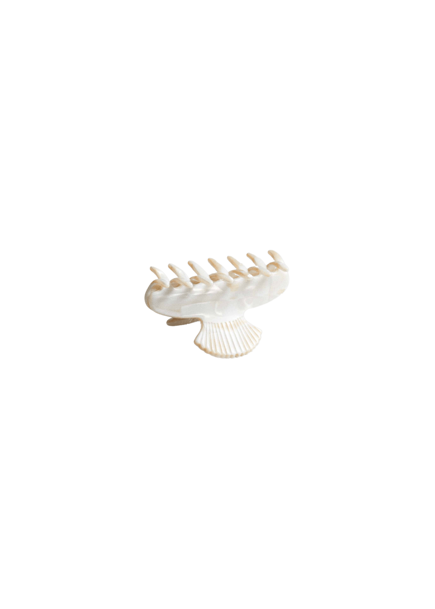 Fan shell Jennie inspired cute bio-acetate large hair claw clip designed for elegant updos– perfect for thick hair and effortless hairstyles