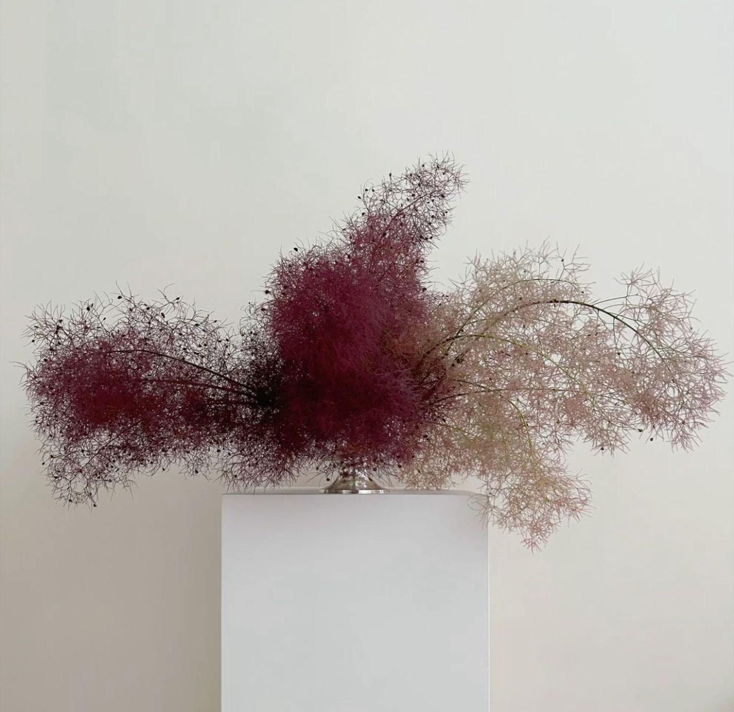 Elegant red plant art by castor presenting hair claw clips durable, lightweight, and perfect for securing all hair types. Ideal for effortless everyday hairstyles.