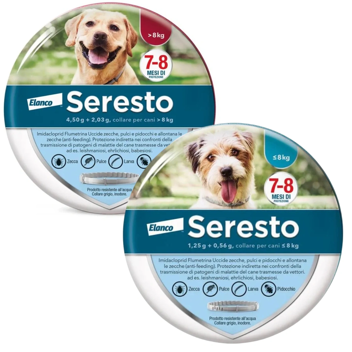 Collare Antiparassitario per Cani | Protezione Prolungata 8 Mesi