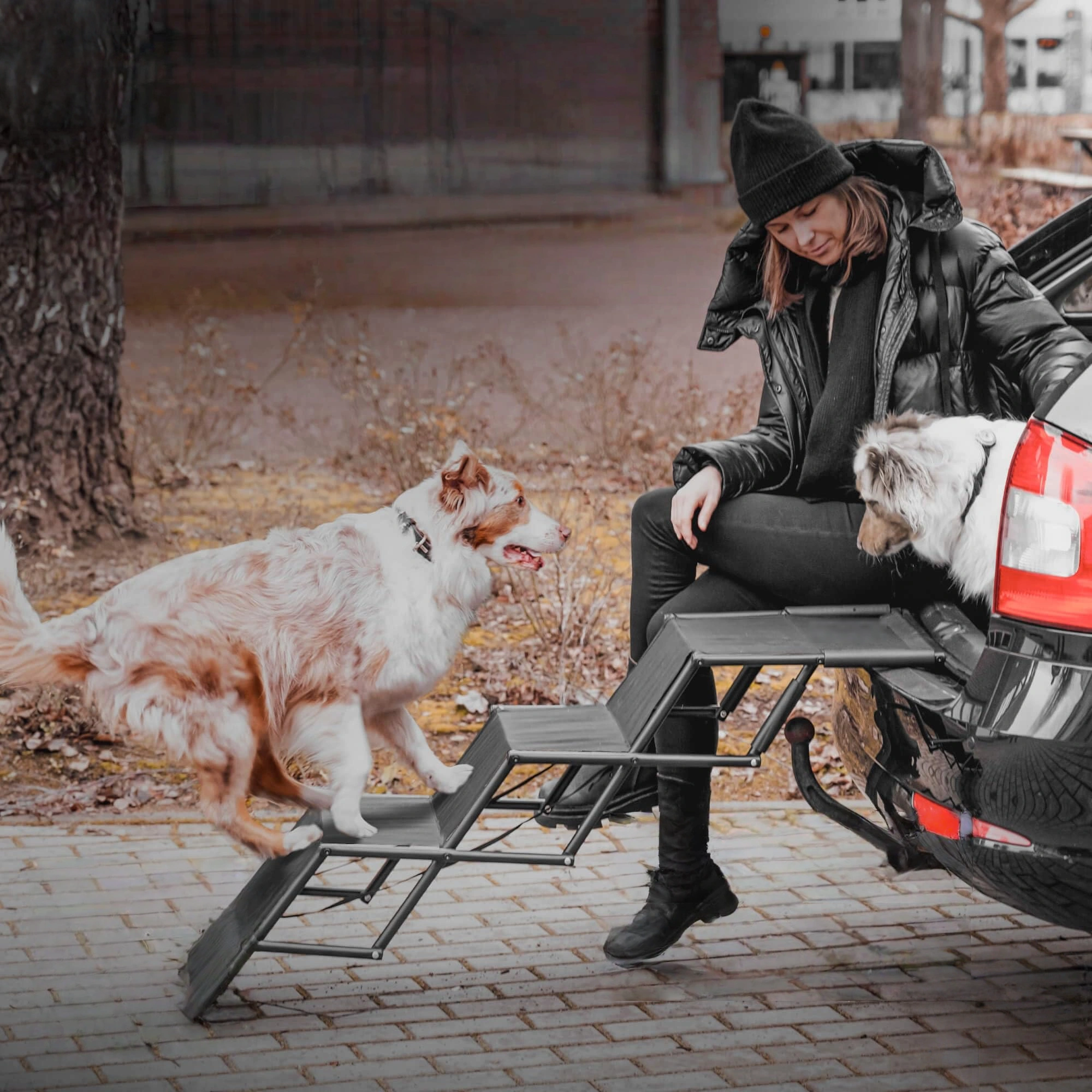 Pettami GlidePath Folding Canine Ramp | Orthopedic Joint Support for SUV & Trunk Access