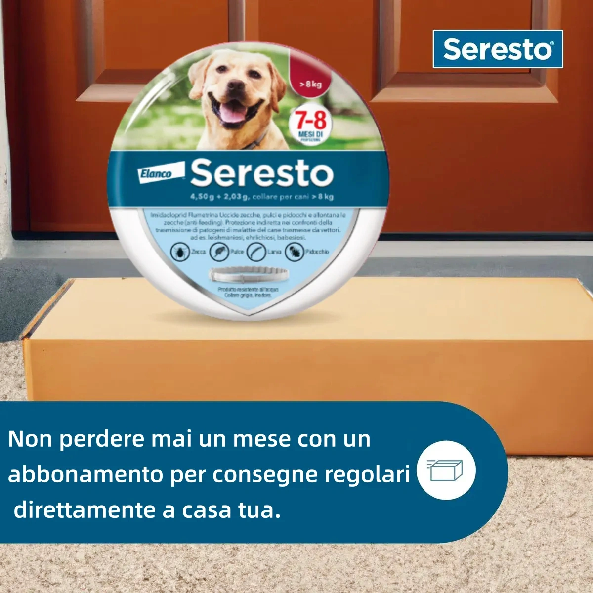 Collare Antiparassitario per Cani | Protezione Prolungata 8 Mesi