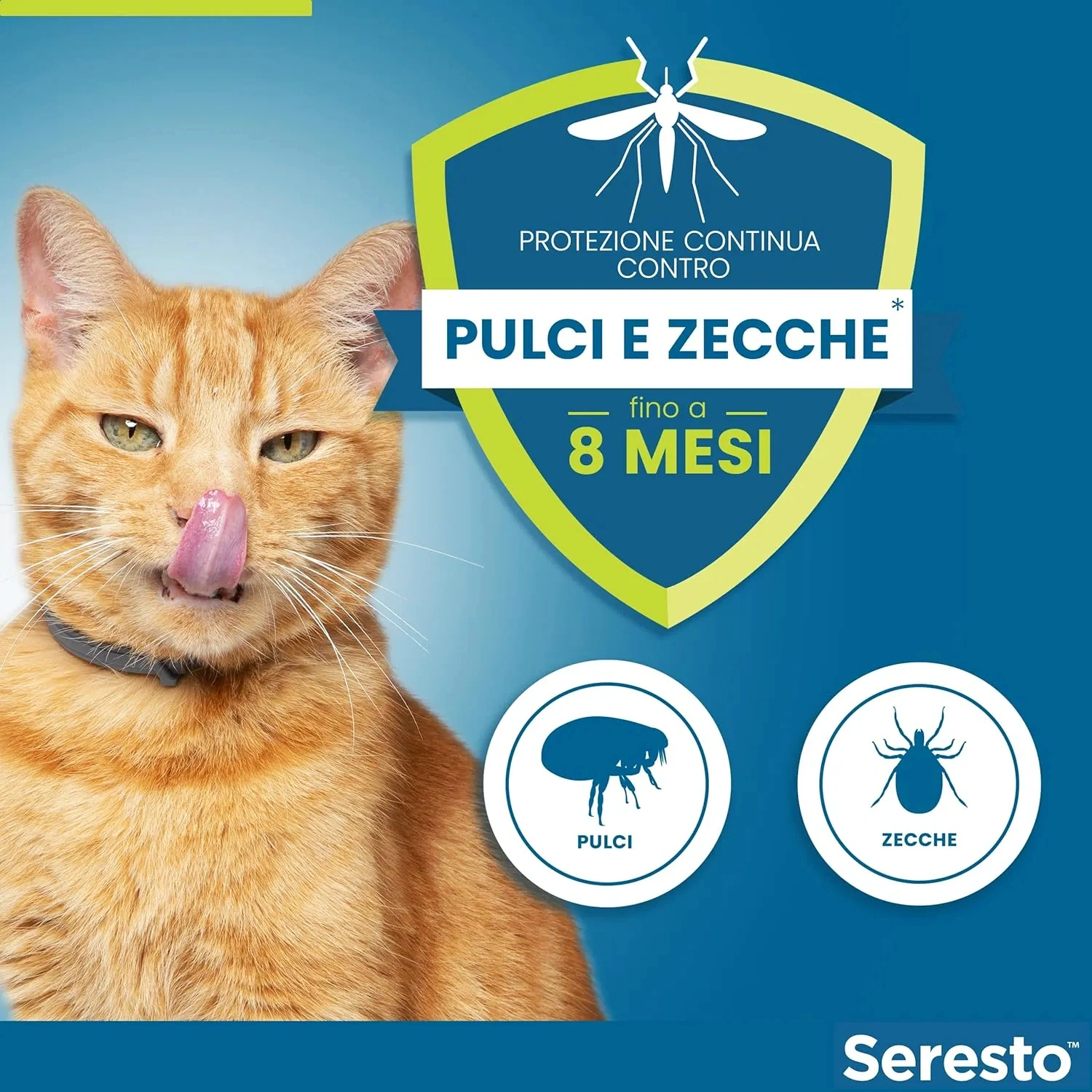 Collare Antiparassitario per Gatti: 8 Mesi di Protezione Efficace da Pulci e Zecche.