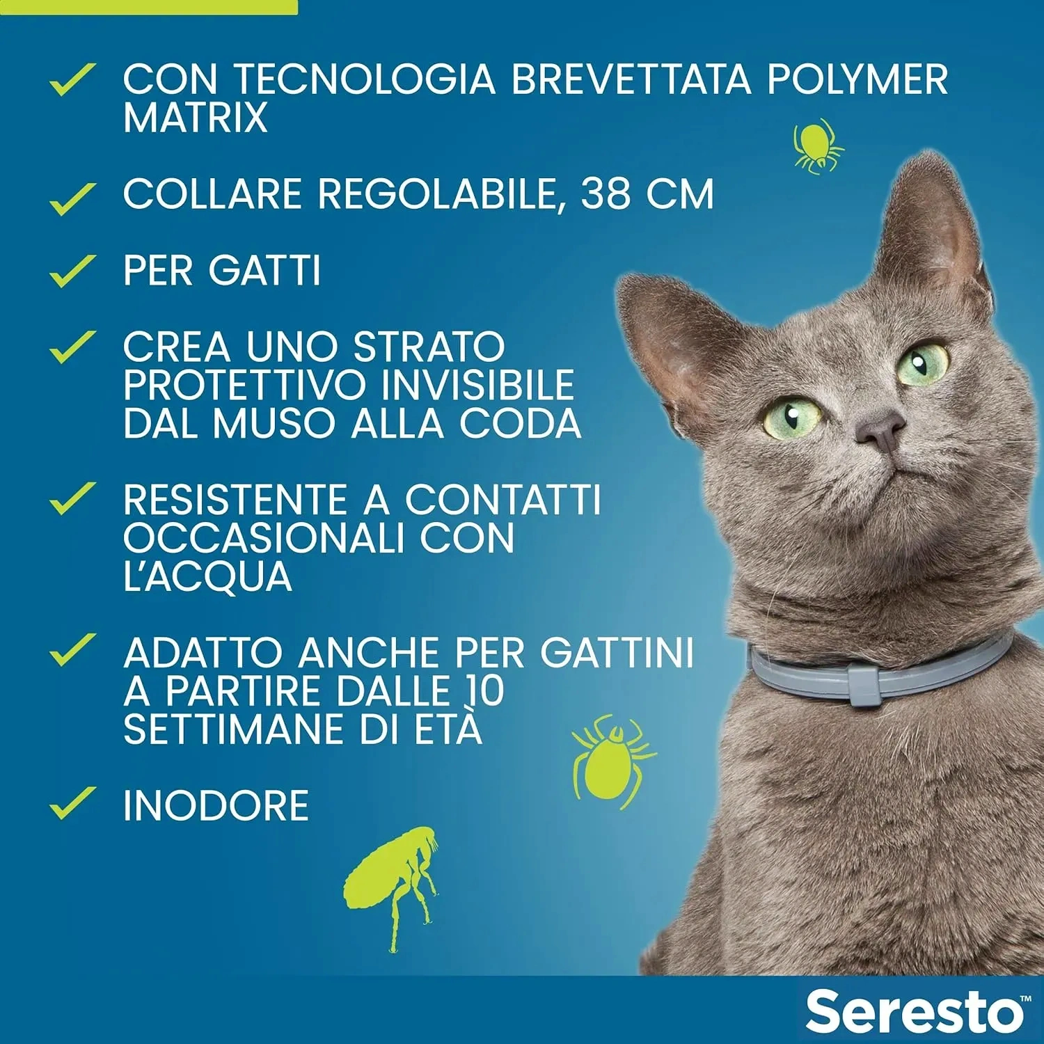 Collare Antiparassitario per Gatti: 8 Mesi di Protezione Efficace da Pulci e Zecche.