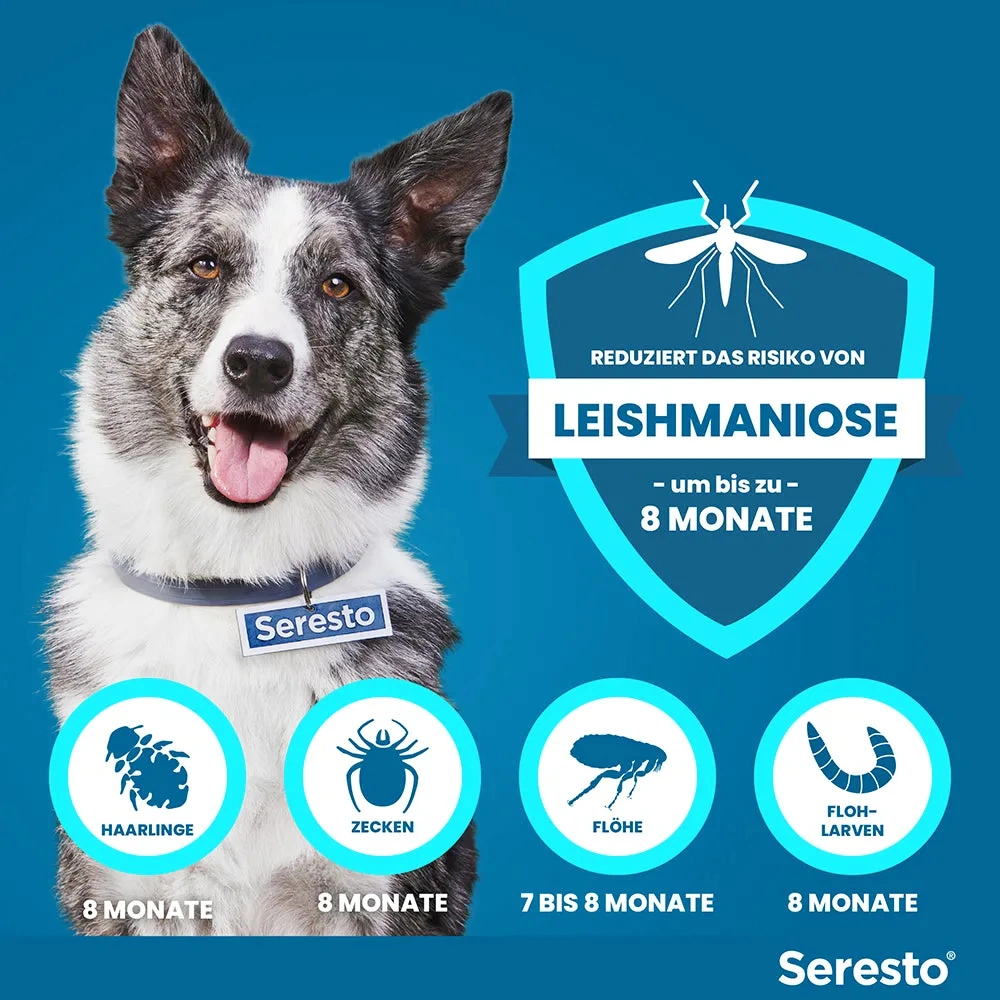 SerestoHalsband für große Hunde, über 8 kg
