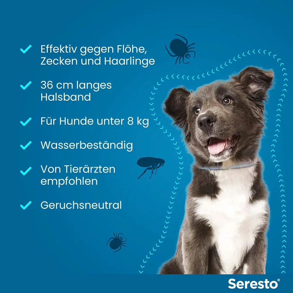 SerestoHalsband für kleine Hunde | bis 8 kg