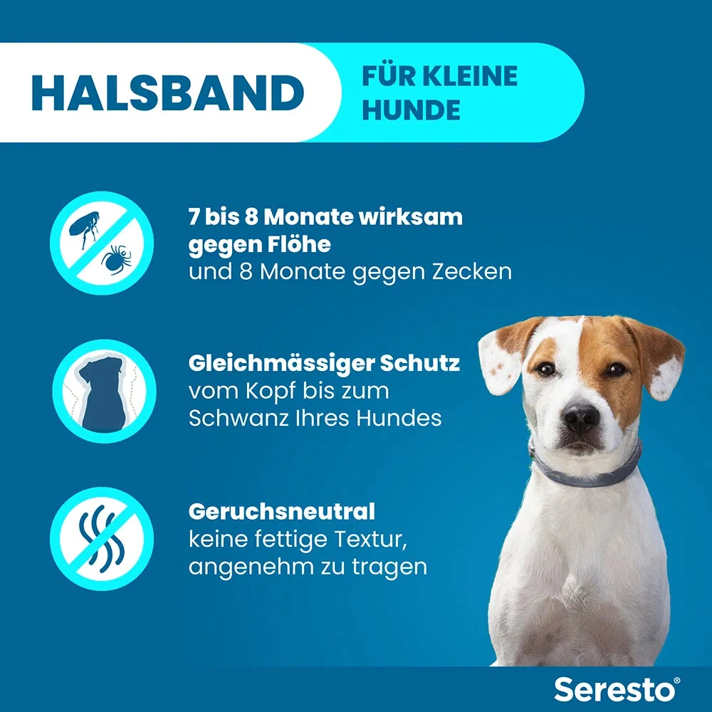 SerestoHalsband für kleine Hunde | bis 8 kg