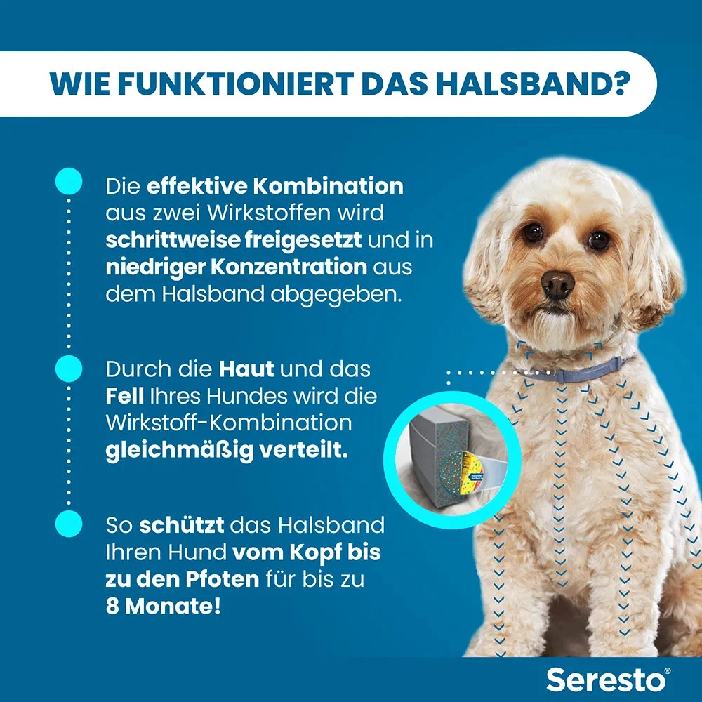 SerestoHalsband für kleine Hunde | bis 8 kg