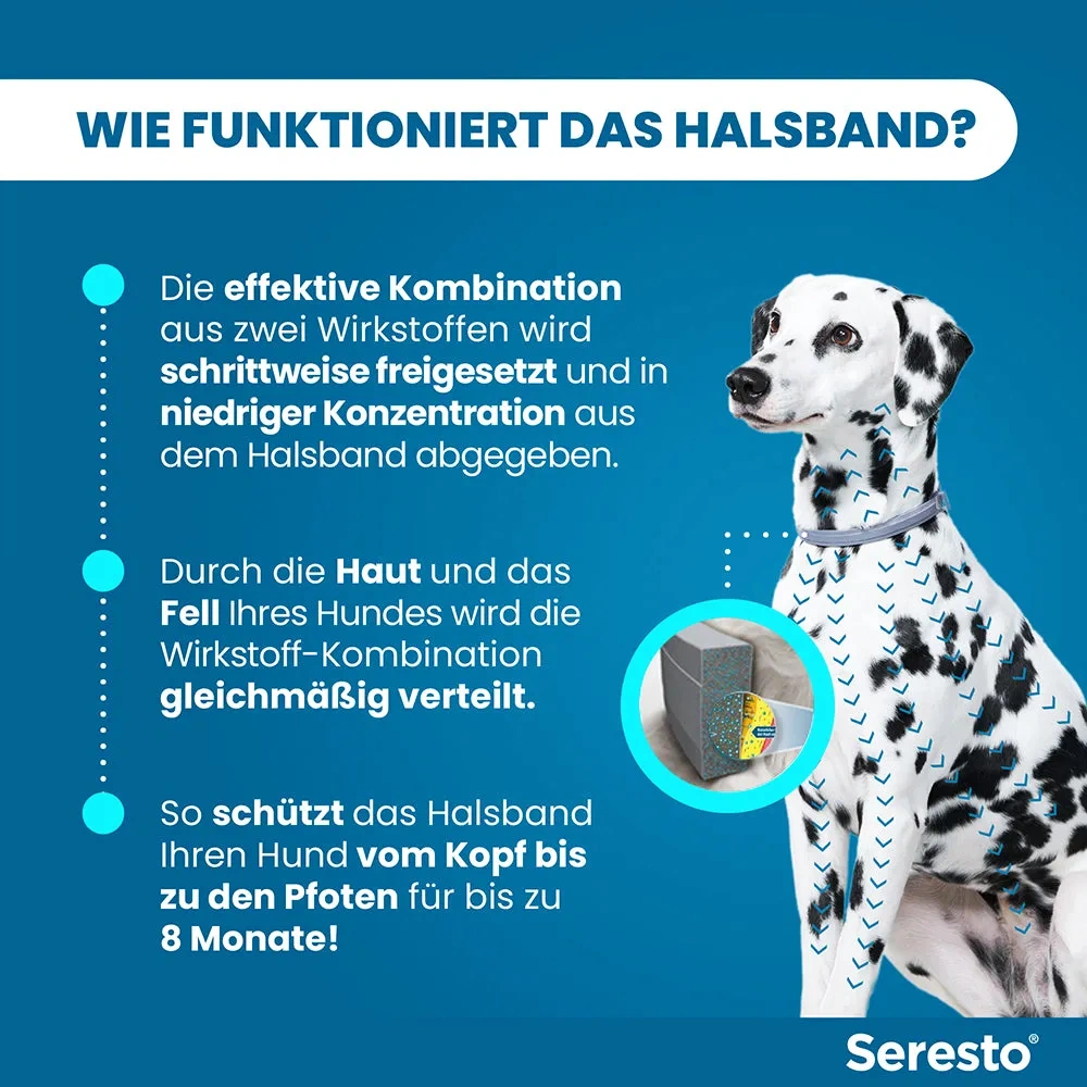 SerestoHalsband für große Hunde, über 8 kg