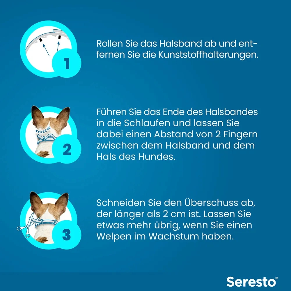 SerestoHalsband für kleine Hunde | bis 8 kg