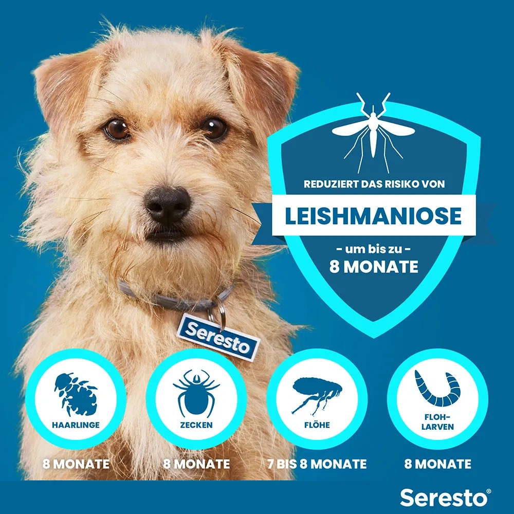 SerestoHalsband für kleine Hunde | bis 8 kg