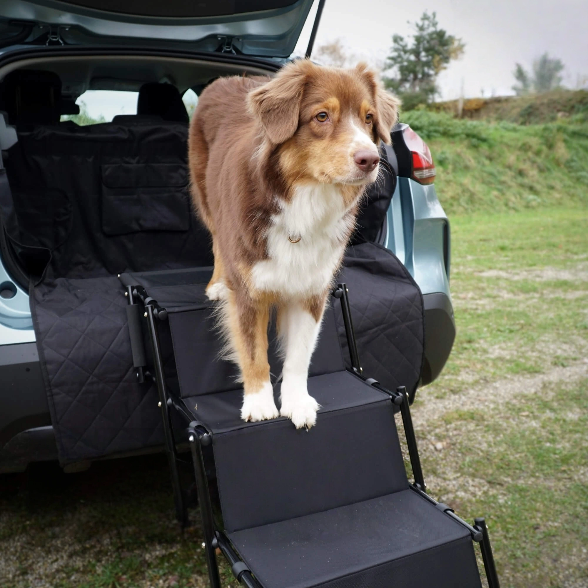 Pettami GlidePath Folding Canine Ramp | Orthopedic Joint Support for SUV & Trunk Access