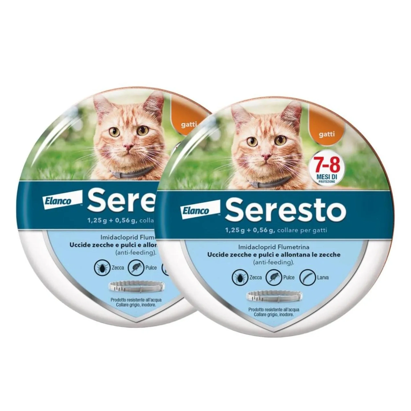 Collare Antiparassitario per Gatti: 8 Mesi di Protezione Efficace da Pulci e Zecche.