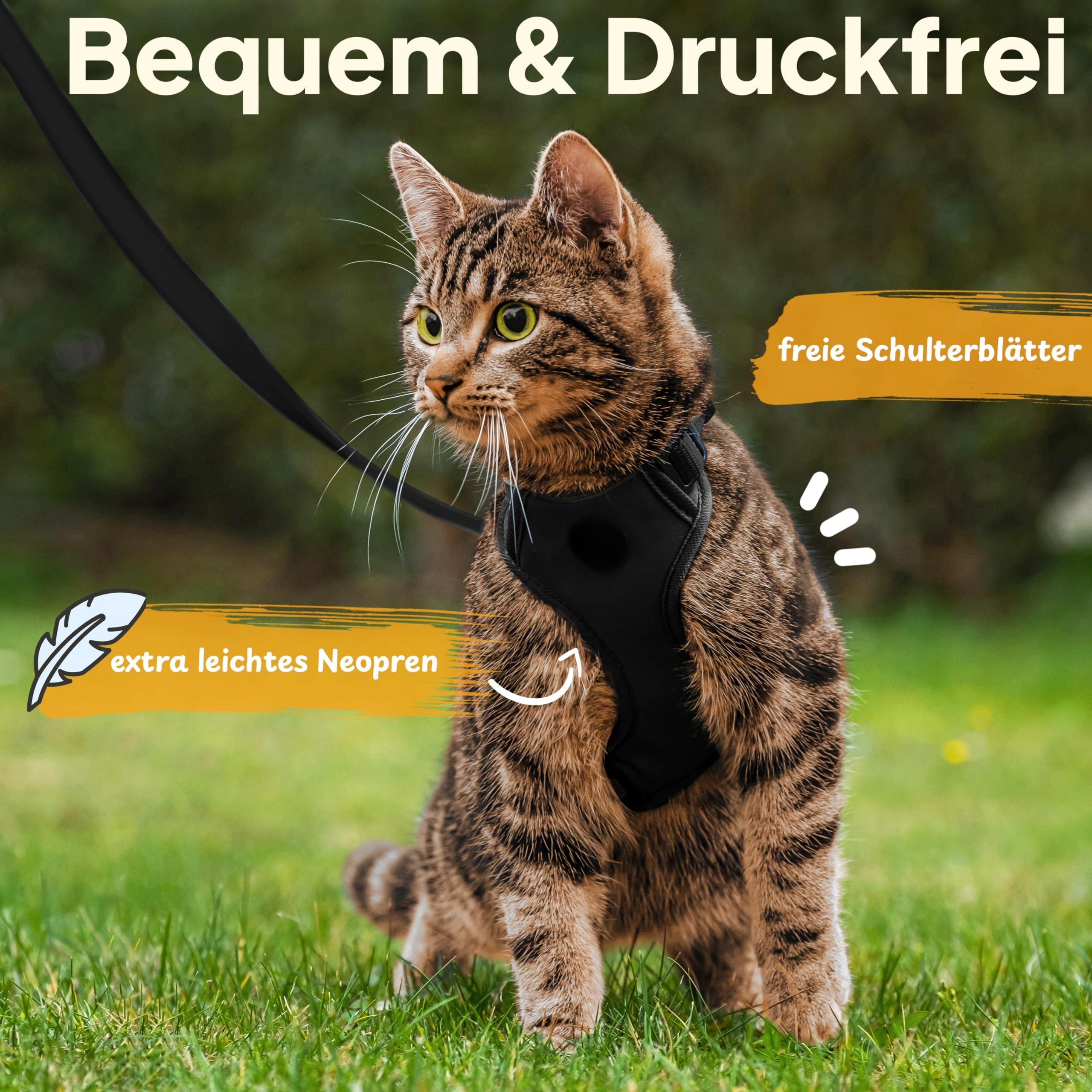 Pettami Katzengeschirr mit Leine - Leichte Version für Katzen und Kätzchen - Kontrollierte Freiheit - Schwarz, Größe S/M
