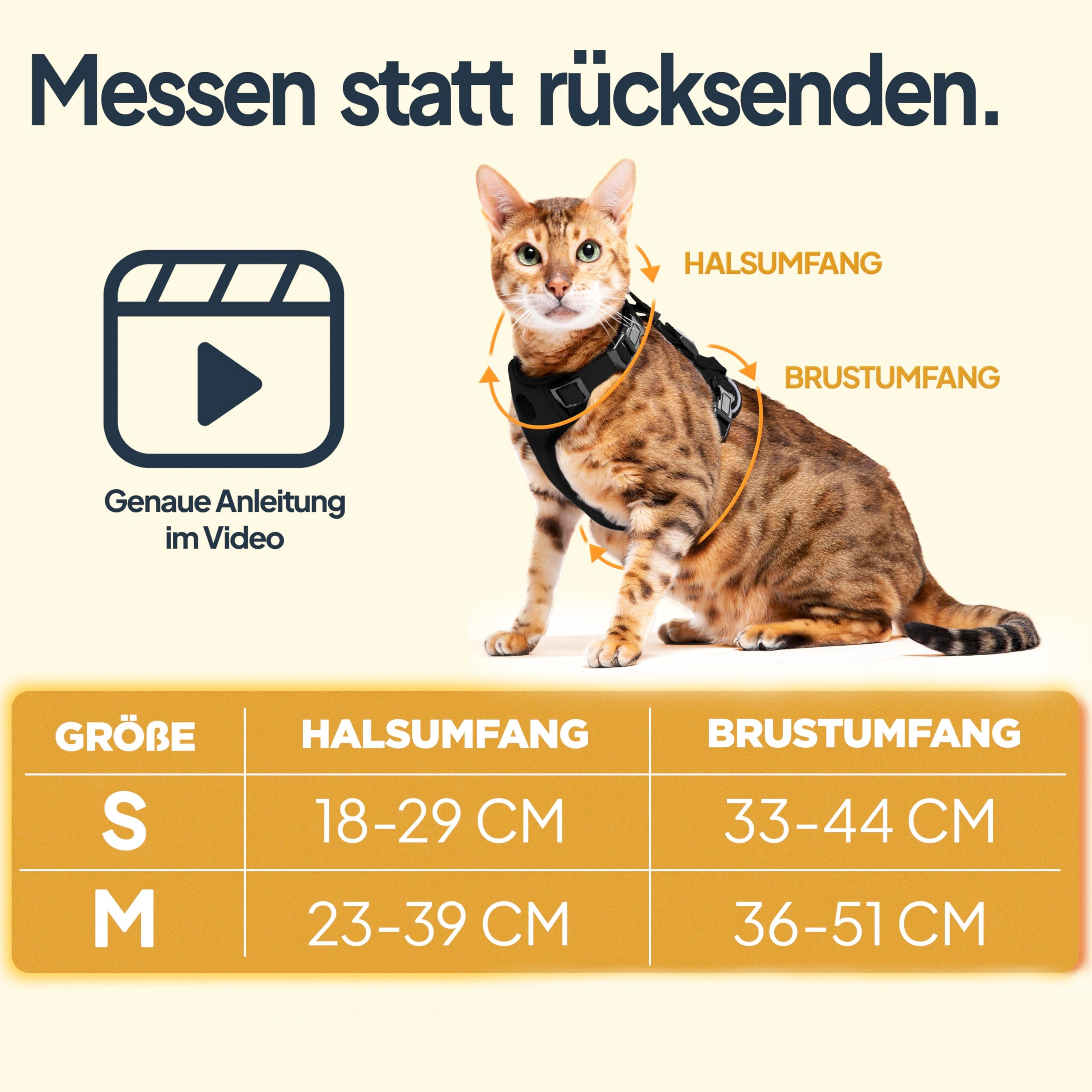 Pettami Katzengeschirr mit Leine - Leichte Version für Katzen und Kätzchen - Kontrollierte Freiheit - Schwarz, Größe S/M
