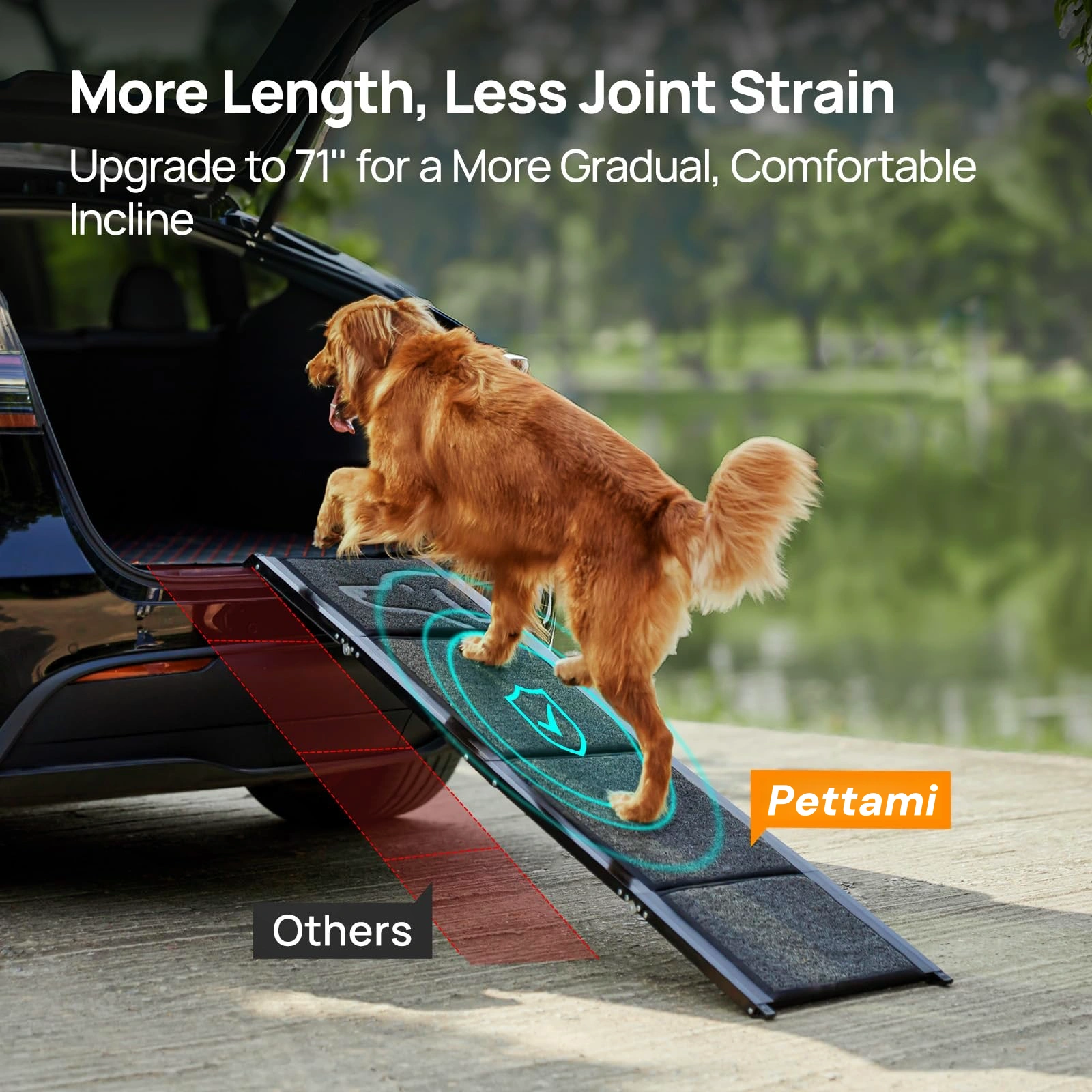 Pettami GlidePat Folding Canine Ramp | High-Traction Surface & Heavy-Duty Support