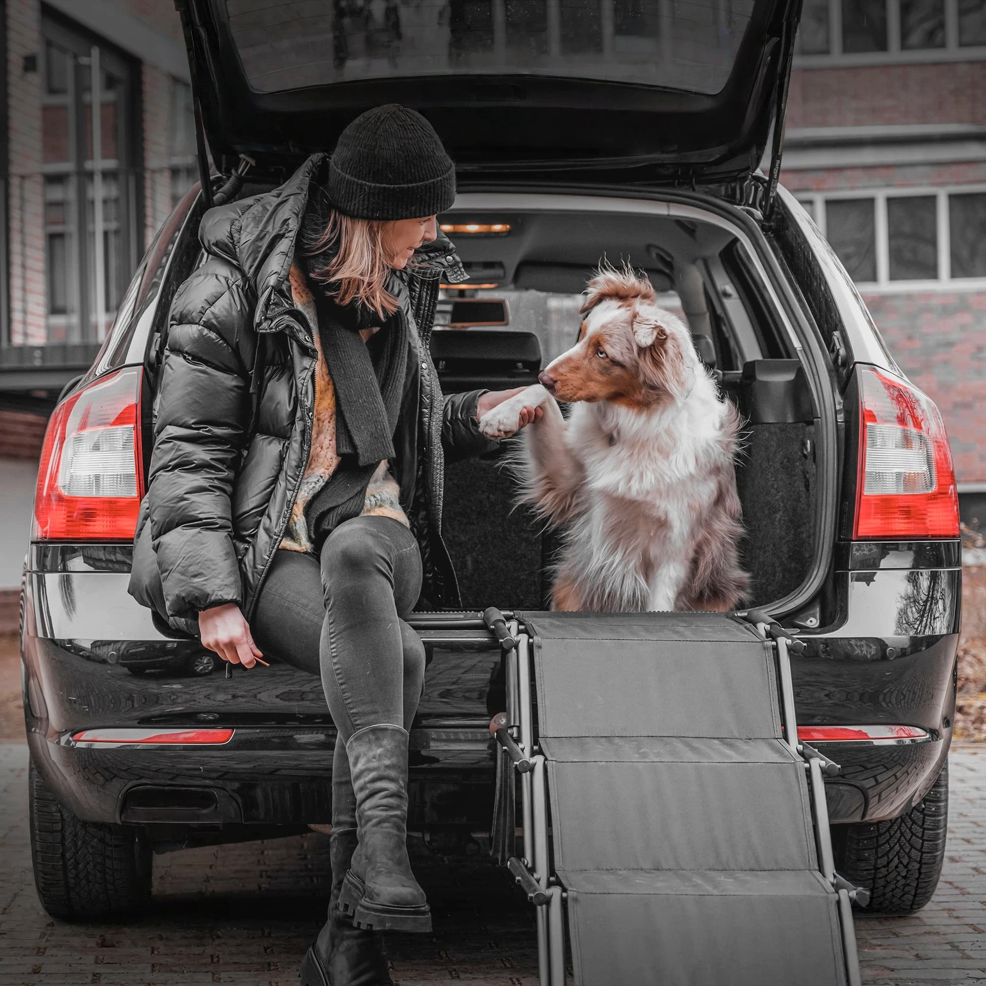 Pettami GlidePath Folding Canine Ramp | Orthopedic Joint Support for SUV & Trunk Access