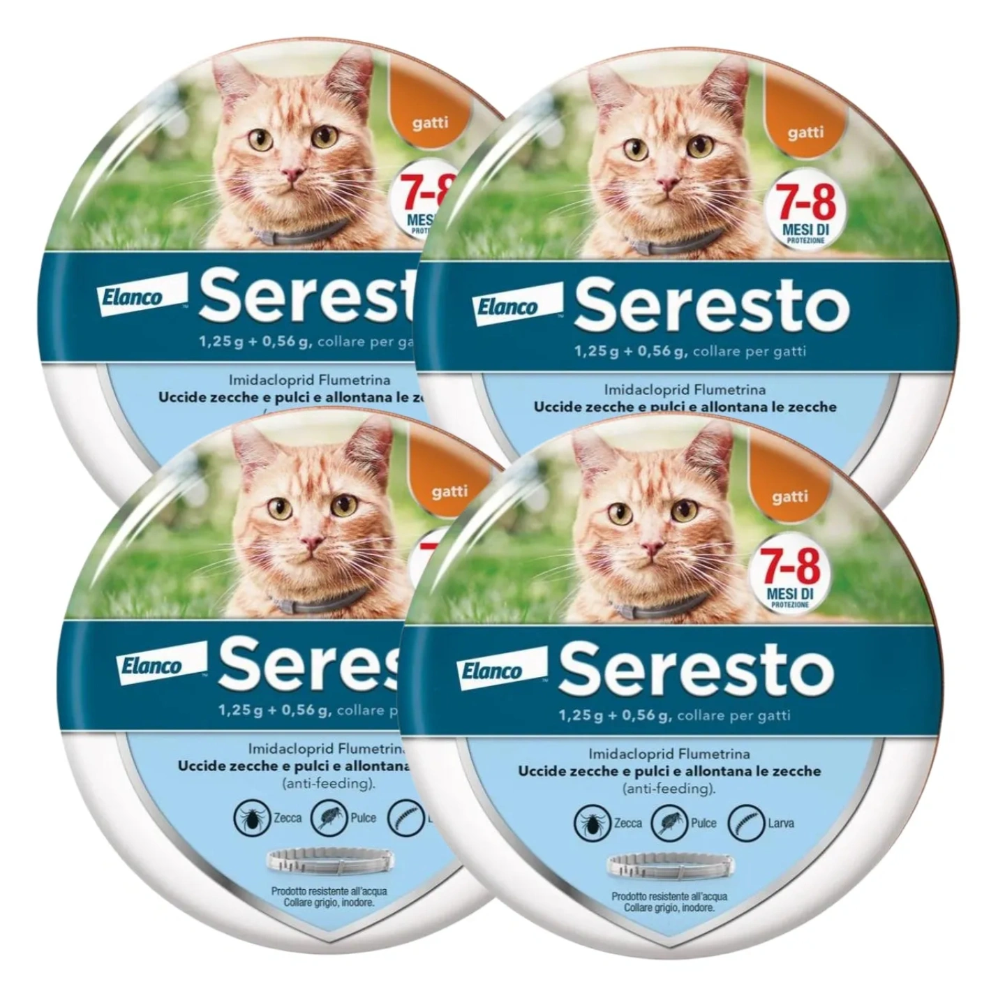 Collare Antiparassitario per Gatti: 8 Mesi di Protezione Efficace da Pulci e Zecche.