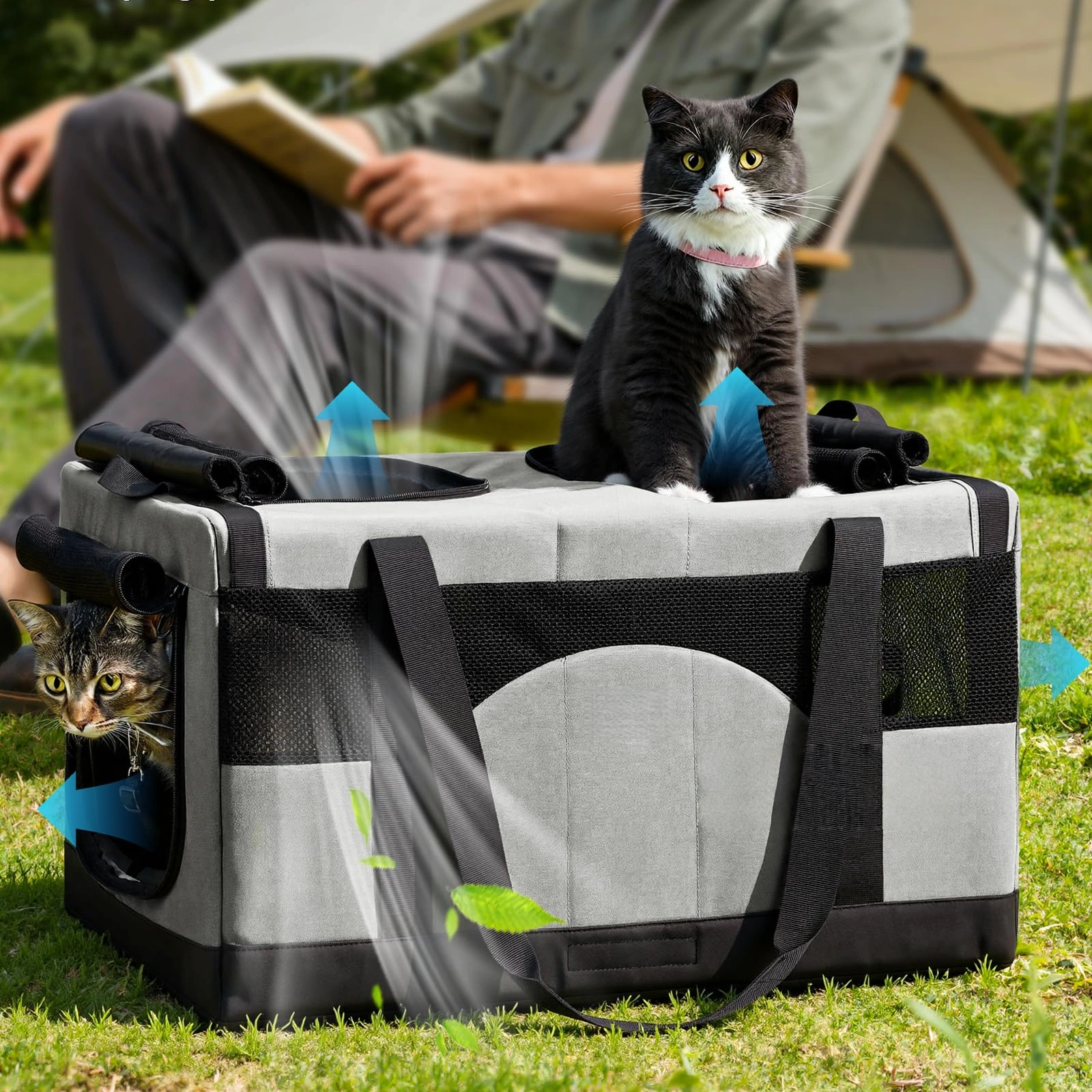 Pettami — Trasportino Doppio Scomparto per Gatti | Borsa da Viaggio Ultra‑Stabile e Traspirante — Verde