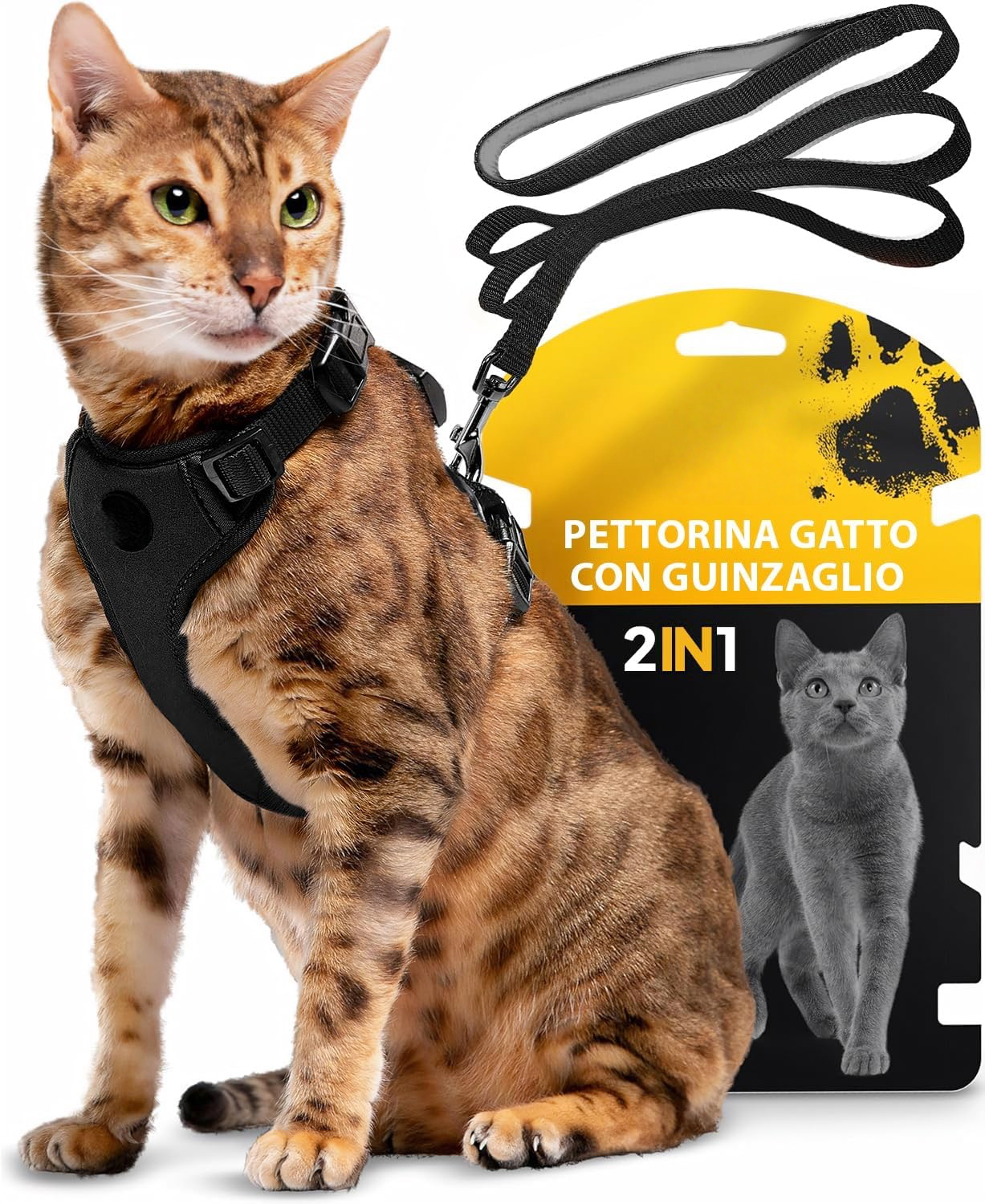 Pettami — Pettorina Antifuga per Gatti con Guinzaglio | Set Completo Premium