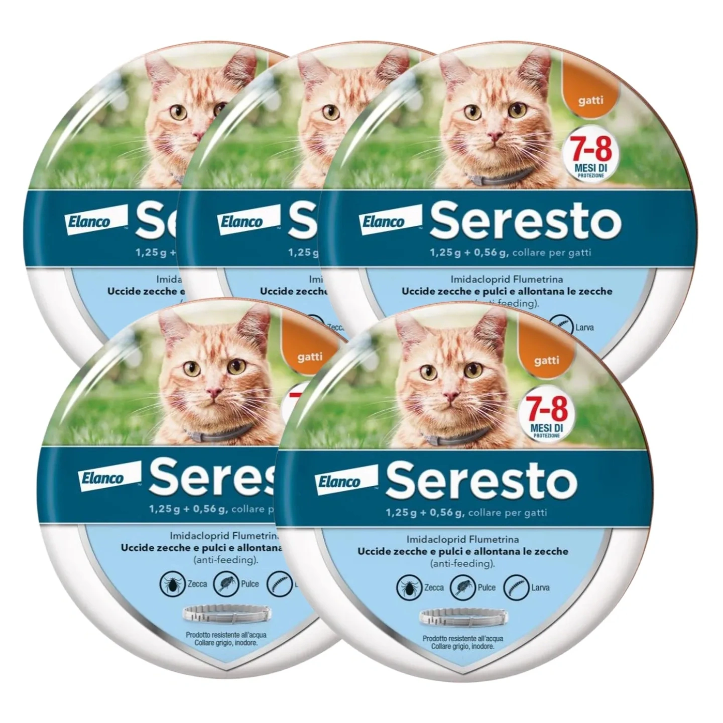 Collare Antiparassitario per Gatti: 8 Mesi di Protezione Efficace da Pulci e Zecche.