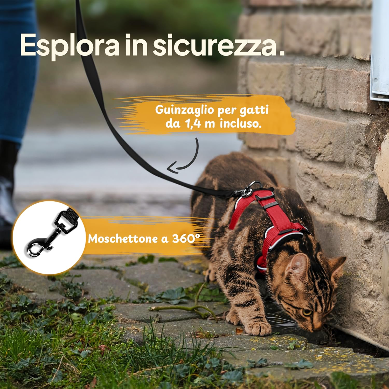 Pettami — Pettorina Antifuga per Gatti con Guinzaglio | Set Completo Premium