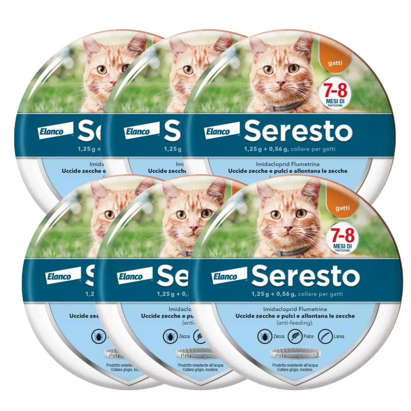 Collare Antiparassitario per Gatti: 8 Mesi di Protezione Efficace da Pulci e Zecche.