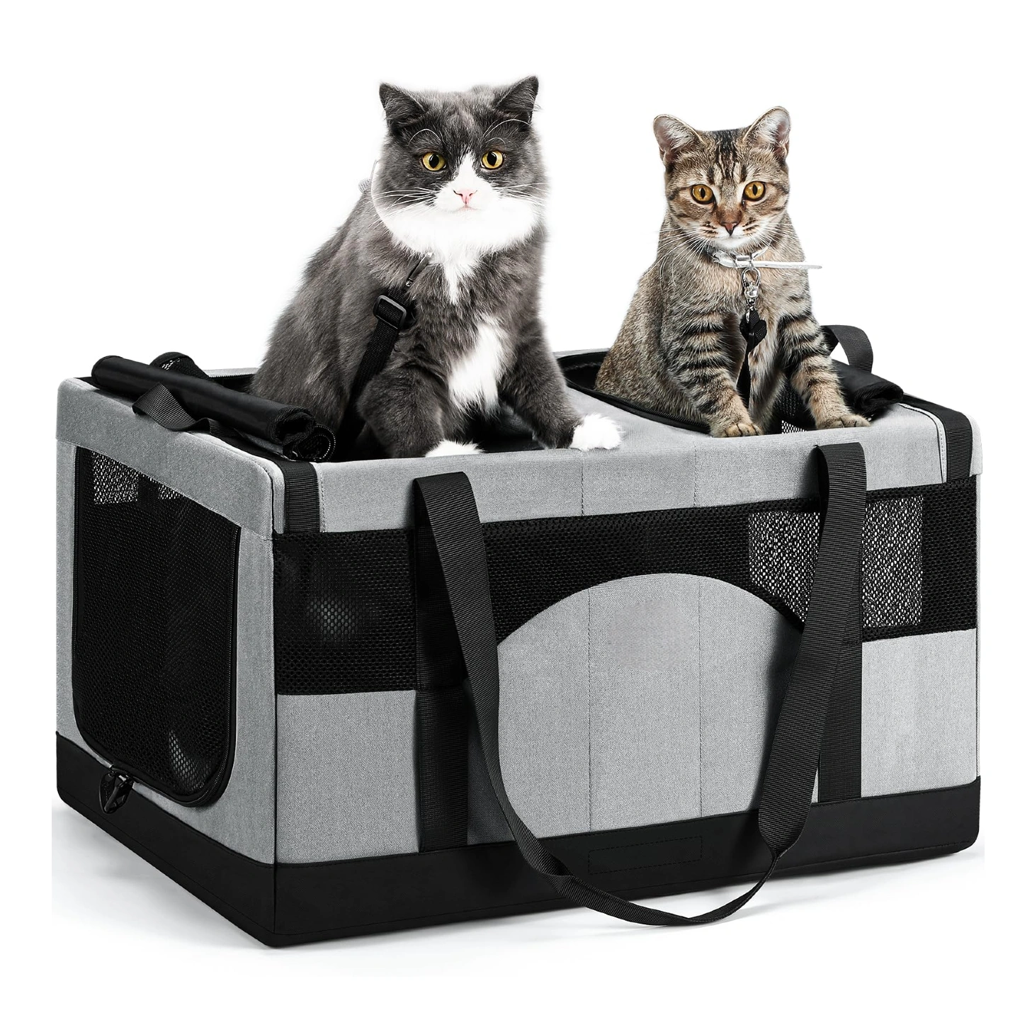 Pettami — Trasportino Doppio Scomparto per Gatti | Borsa da Viaggio Ultra‑Stabile e Traspirante — Verde