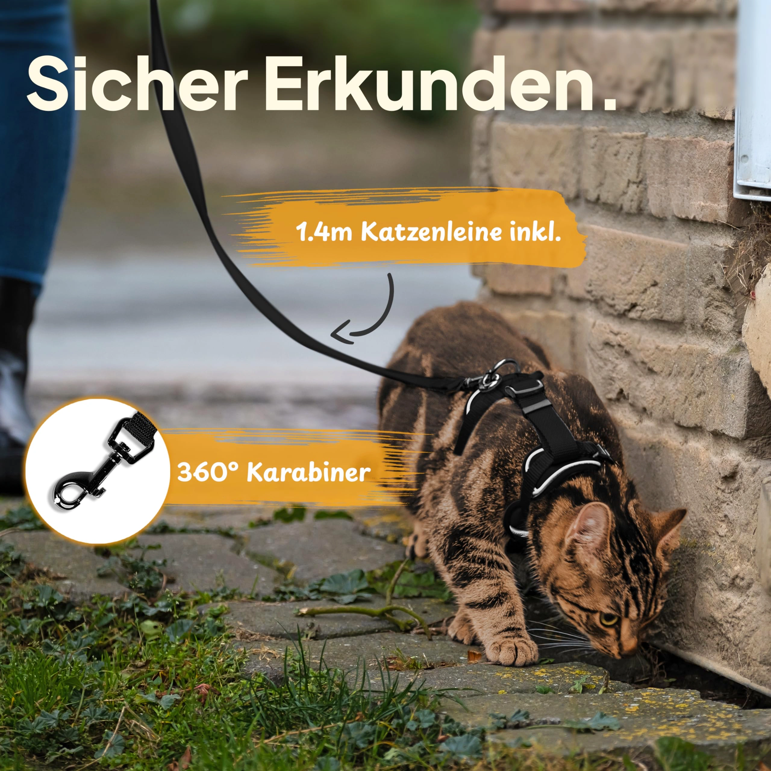 Pettami Katzengeschirr mit Leine - Leichte Version für Katzen und Kätzchen - Kontrollierte Freiheit - Schwarz, Größe S/M