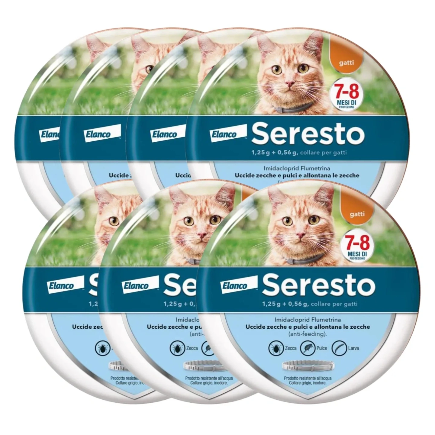 Collare Antiparassitario per Gatti: 8 Mesi di Protezione Efficace da Pulci e Zecche.
