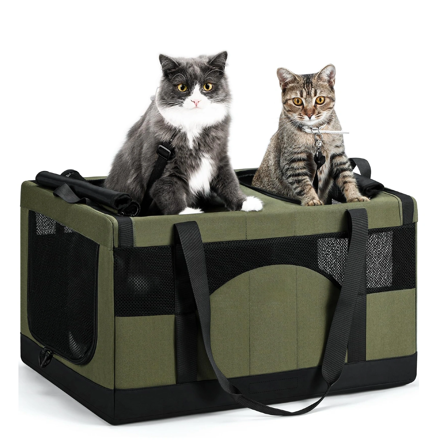 Pettami — Trasportino Doppio Scomparto per Gatti | Borsa da Viaggio Ultra‑Stabile e Traspirante — Verde