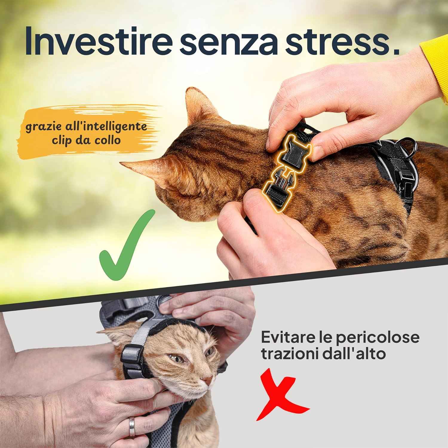 Pettami — Pettorina Antifuga per Gatti con Guinzaglio | Set Completo Premium