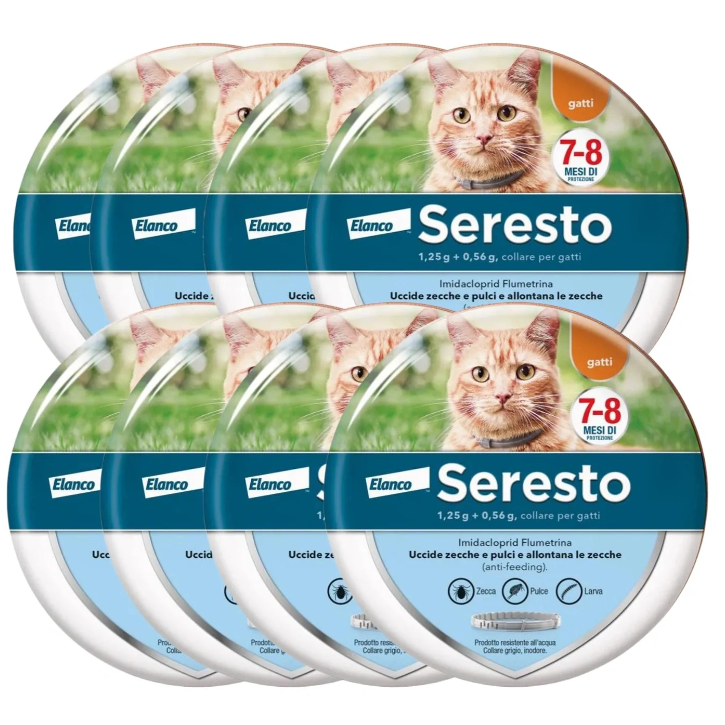Collare Antiparassitario per Gatti: 8 Mesi di Protezione Efficace da Pulci e Zecche.