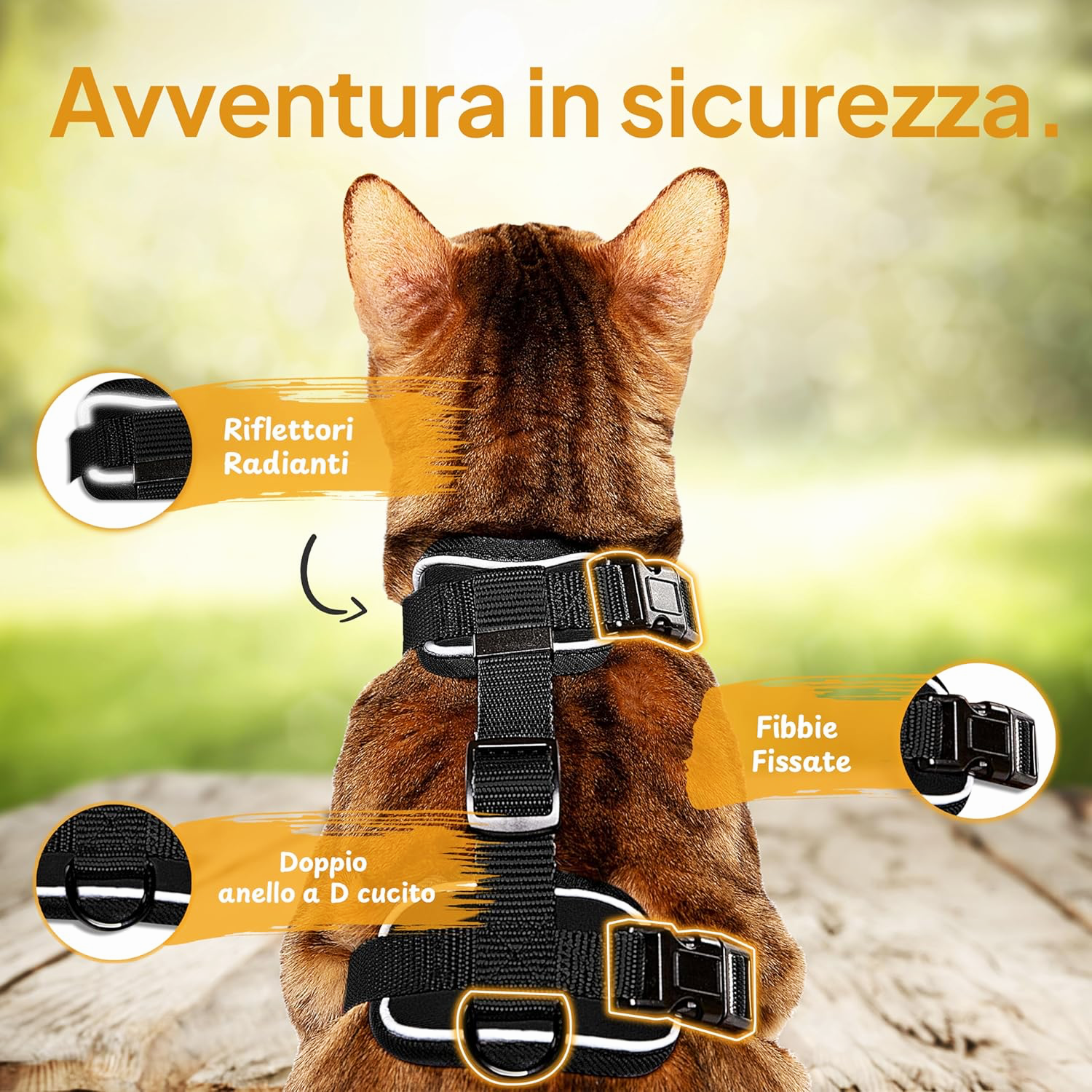 Pettami — Pettorina Antifuga per Gatti con Guinzaglio | Set Completo Premium