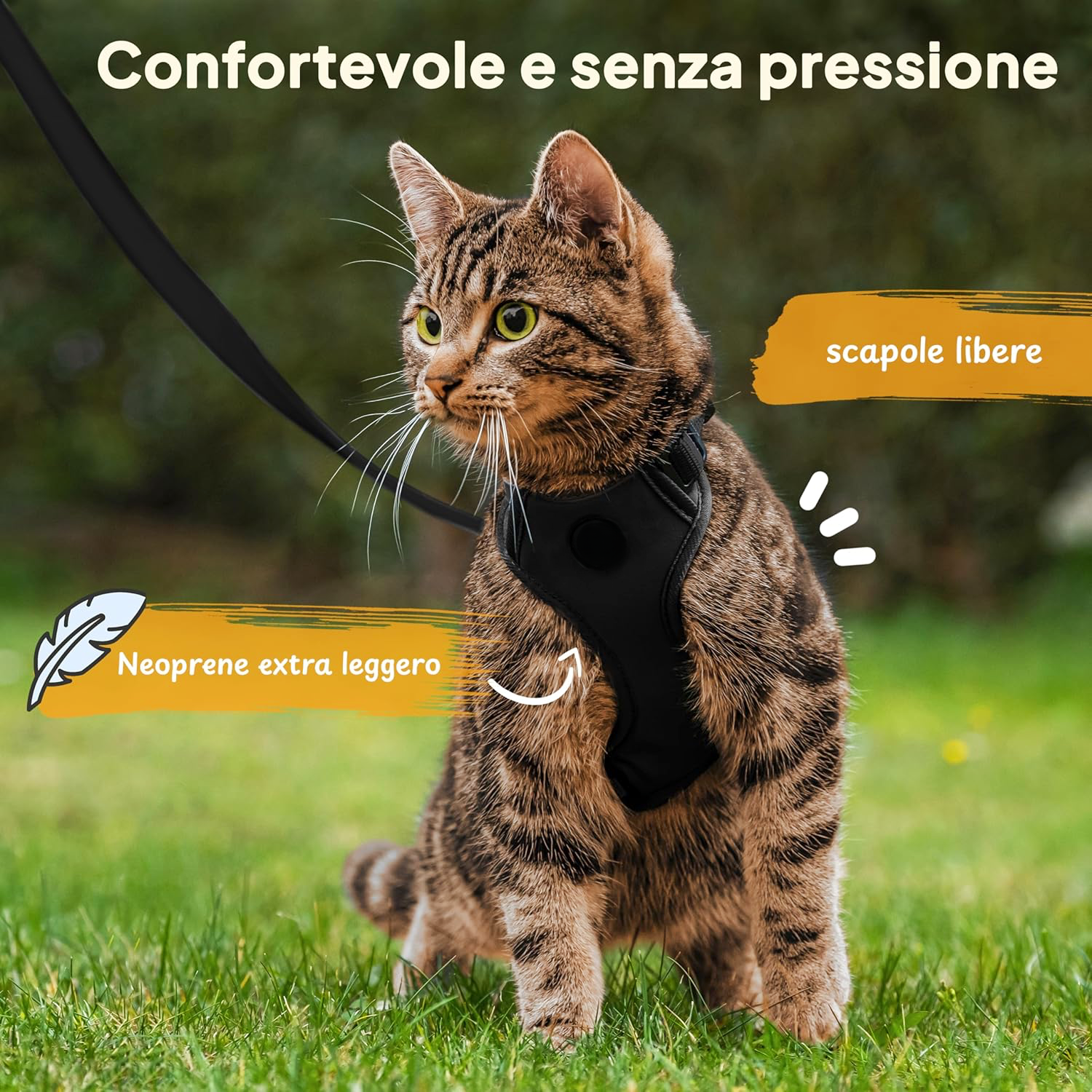 Pettami — Pettorina Antifuga per Gatti con Guinzaglio | Set Completo Premium