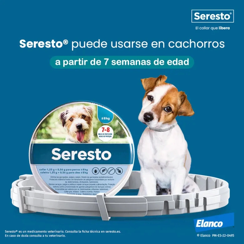 CollarSeresto Antiparasitario para perros