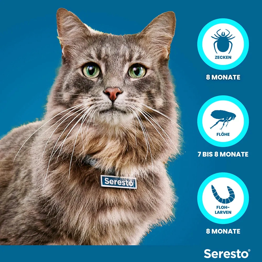 SerestoHalsband für Katzen