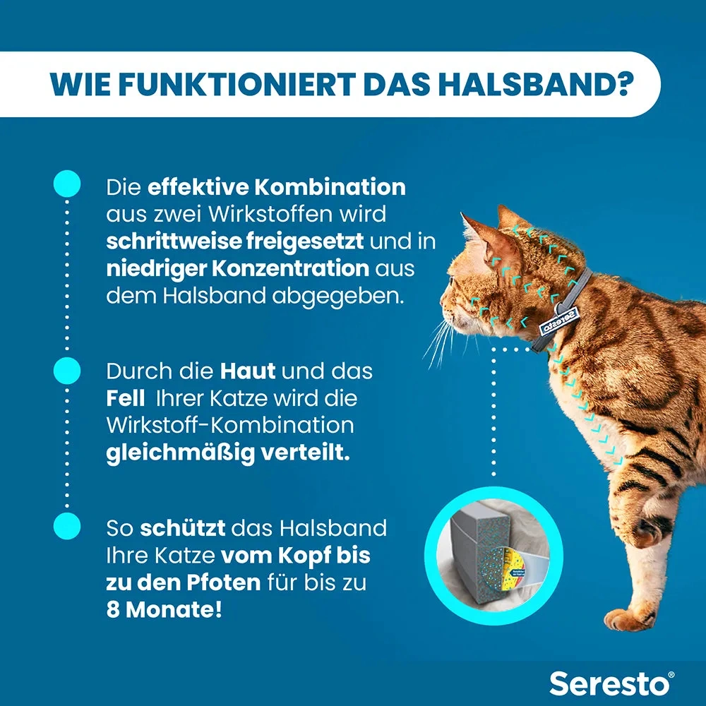 SerestoHalsband für Katzen