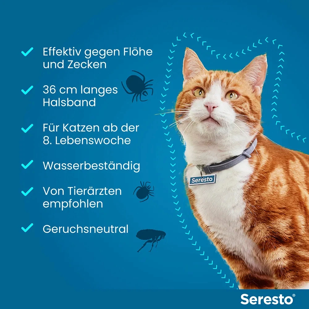 SerestoHalsband für Katzen