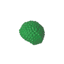 Figura Cabello Estilo Burbuja (Afro)-MyGobricksEs