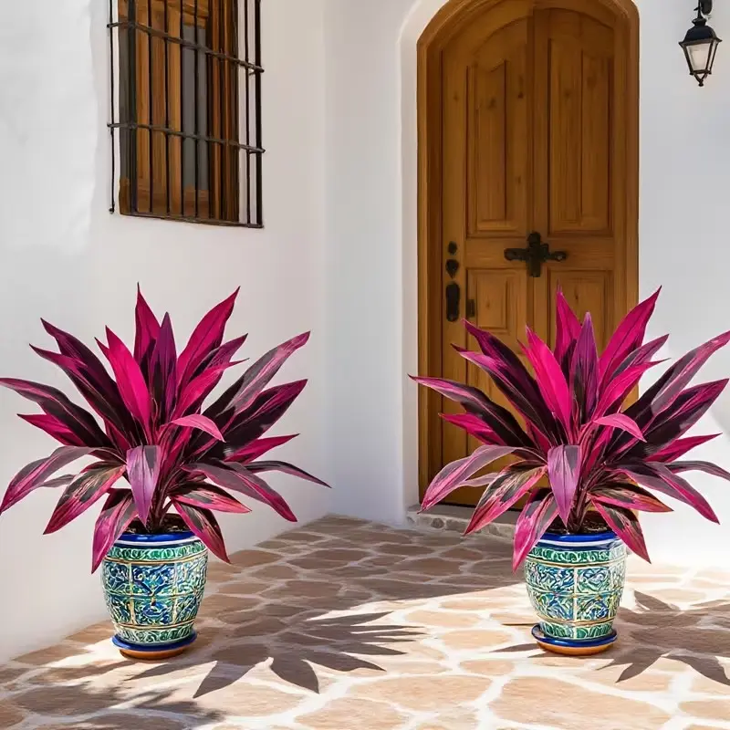 🌿Realistic Boston Fern & Dragon's Blood Tree 🌸 Vibrant Pink/Purple Leaves | No Maintenance ✅