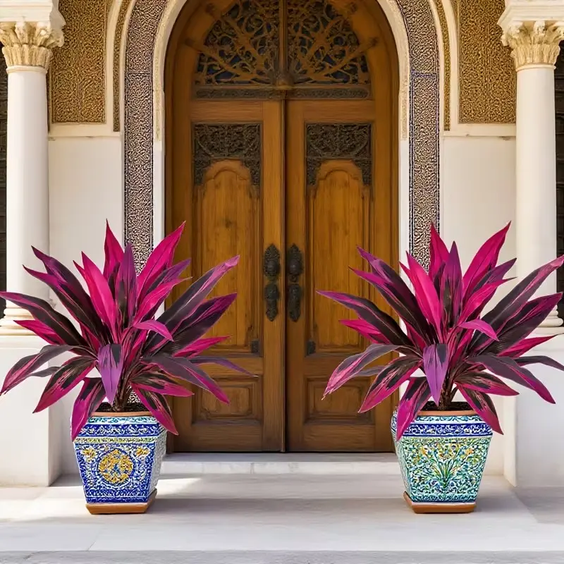 🌿Realistic Boston Fern & Dragon's Blood Tree 🌸 Vibrant Pink/Purple Leaves | No Maintenance ✅