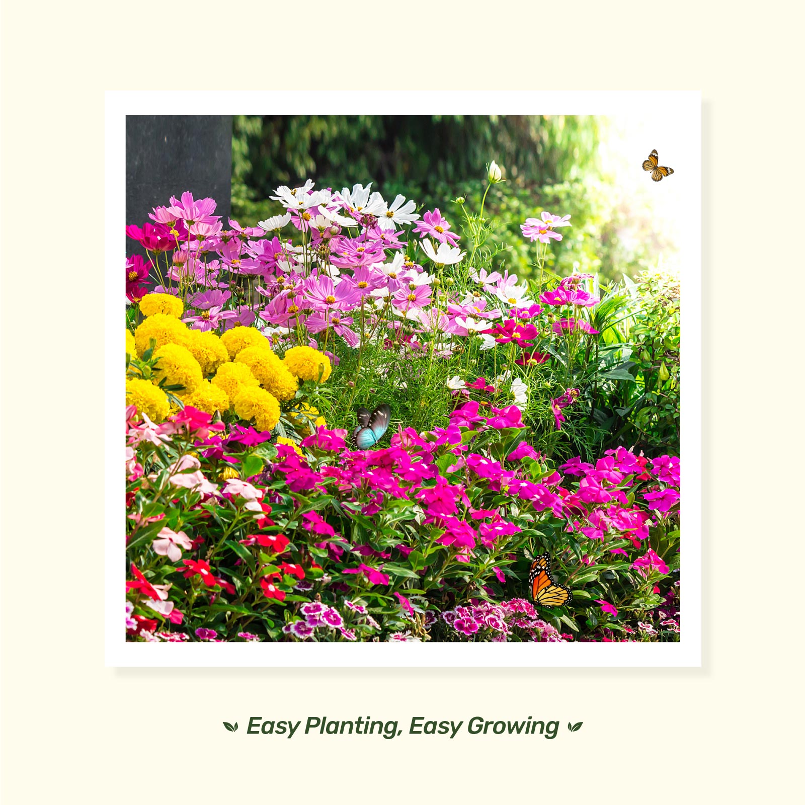 Holistic Family Container Garden - Butterfly Garden Grow Kit