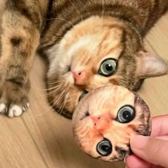 Custom Cat Face Print Circular Plush Toy Stress-relief Squishy Badge - Interactive Pet Photo Souvenir