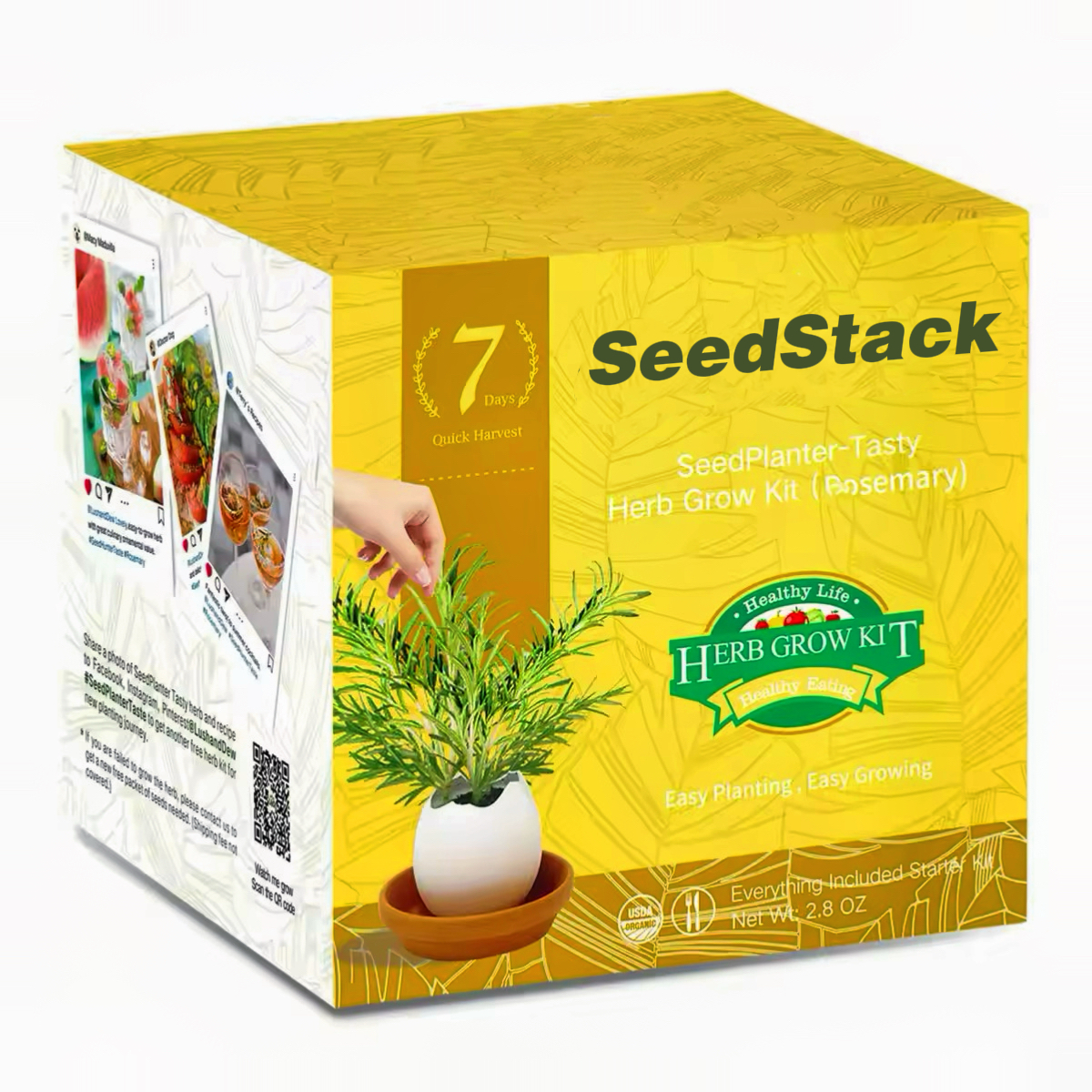 SeedStack Kids Organic Herb Grow Kit - Rosemary