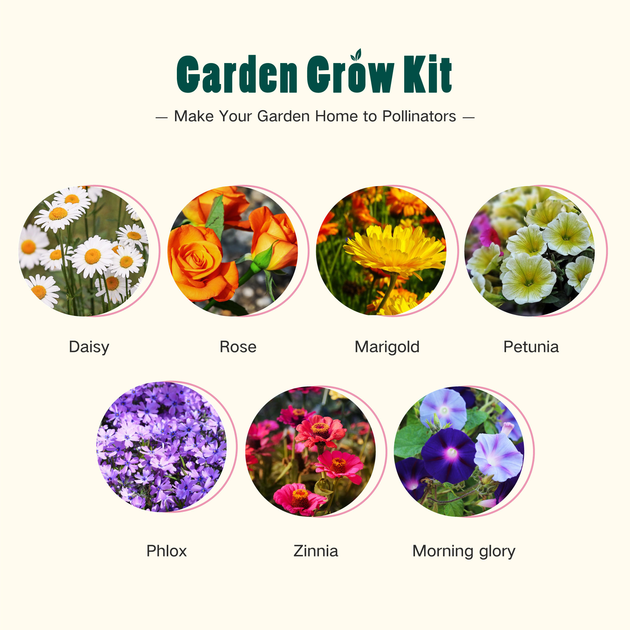 Container Garden - Rainbow Garden Grow Kit