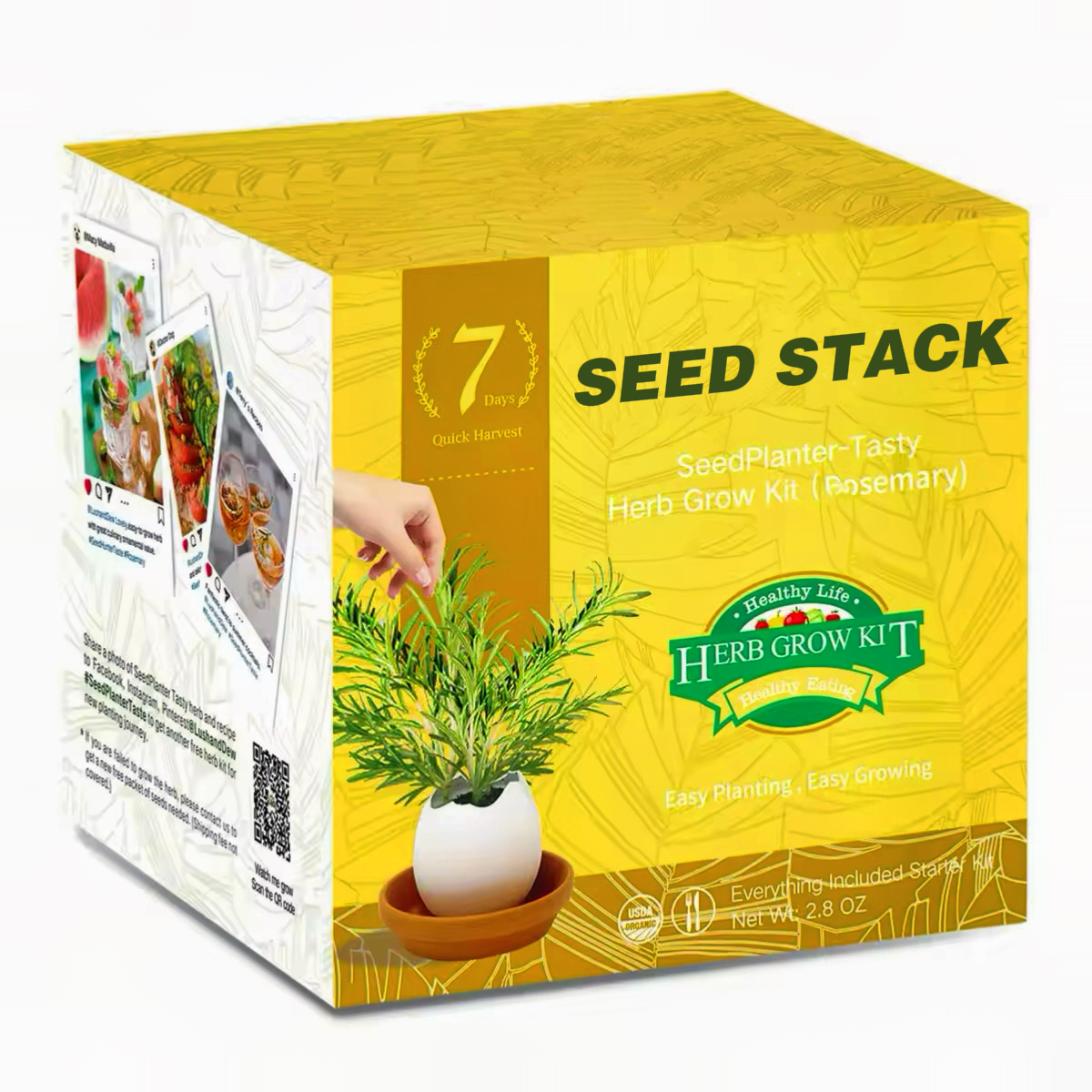 Seed Stack Kids Organic Herb Grow Kit - Rosemary