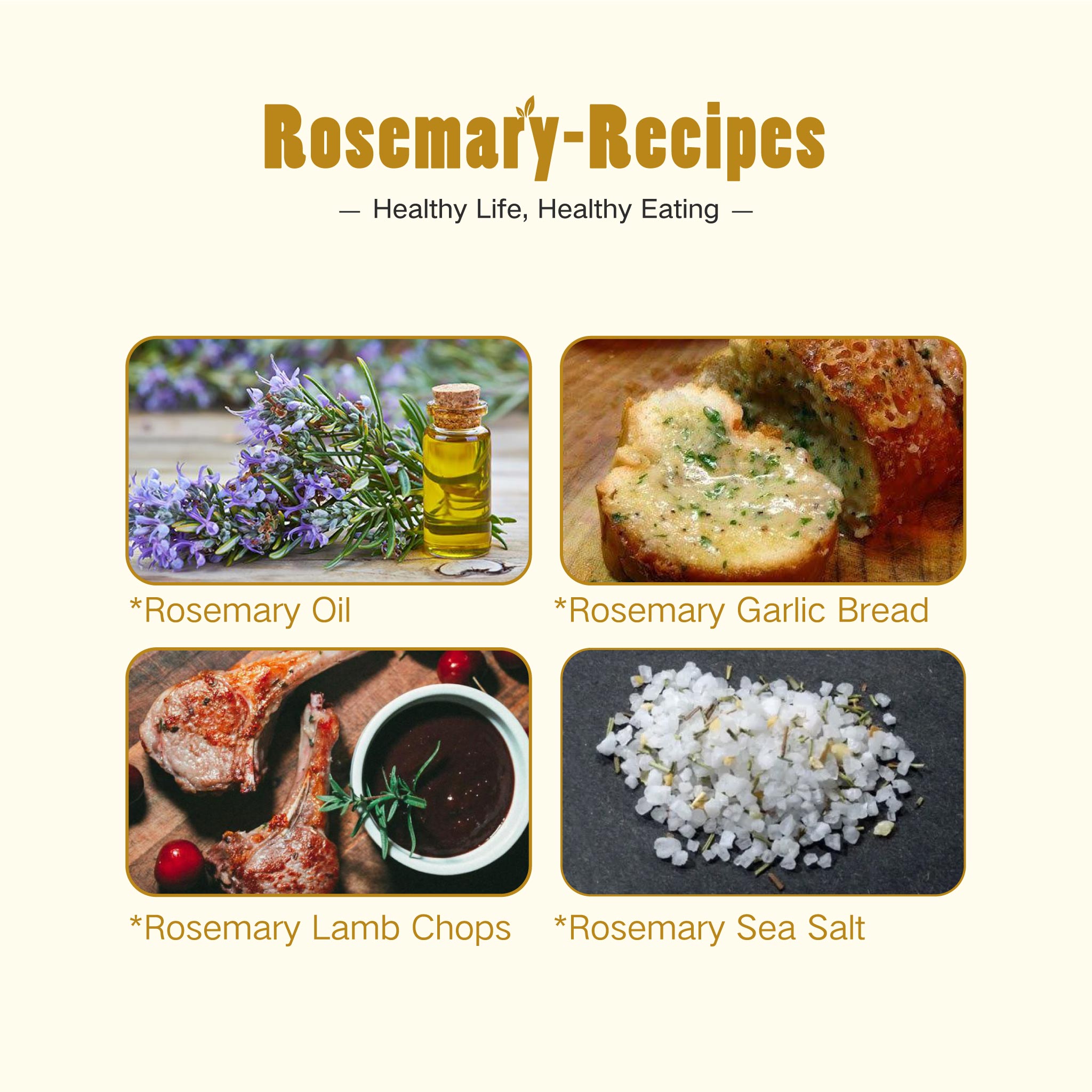 Seed Stack Kids Organic Herb Grow Kit - Rosemary