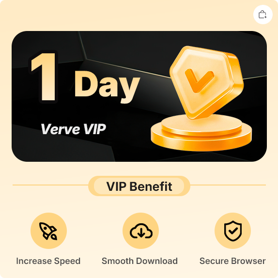 1 Day VIP