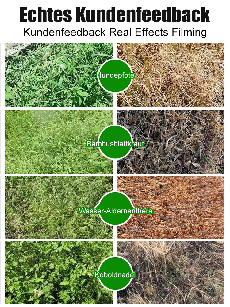 Bio-Unkrautvernichter - 3 Min. Sofortwirkung - 5 Jahre unkrautfrei - Glyphosatfrei🌱🛡️