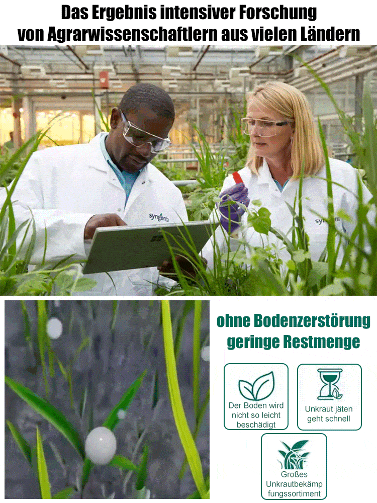 Bio-Unkrautvernichter - 3 Min. Sofortwirkung - 5 Jahre unkrautfrei - Glyphosatfrei🌱🛡️